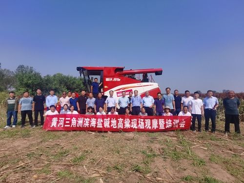 科技助力鹽堿地改良——黃河三角洲濱海鹽堿地高粱現(xiàn)場(chǎng)觀摩暨培訓(xùn)會(huì)成功舉辦