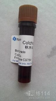 日用化學(xué)產(chǎn)品銷售的市場前景與策略分析